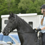  DSC6739 - Eper Paardenvierdaagse onderweg