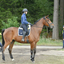  DSC6742 - Eper Paardenvierdaagse onderweg