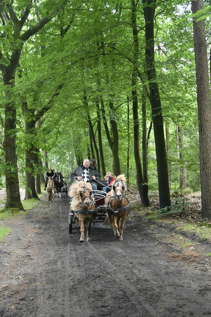  DSC6790 Eper Paardenvierdaagse onderweg