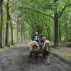  DSC6793 - Eper Paardenvierdaagse onde...