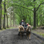  DSC6793 - Eper Paardenvierdaagse onderweg