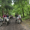  DSC6812 - Eper Paardenvierdaagse onde...