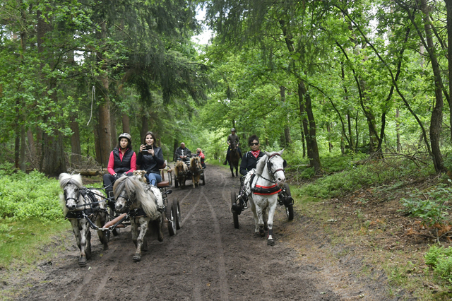  DSC6812 Eper Paardenvierdaagse onderweg