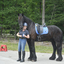  DSC6833 - Eper Paardenvierdaagse onderweg