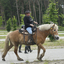  DSC6835 - Eper Paardenvierdaagse onderweg