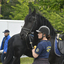  DSC6837 - Eper Paardenvierdaagse onderweg