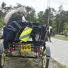  DSC6846 - Eper Paardenvierdaagse onde...