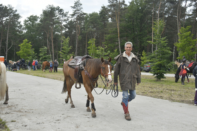  DSC6855 Eper Paardenvierdaagse onderweg