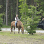  DSC6857 - Eper Paardenvierdaagse onderweg