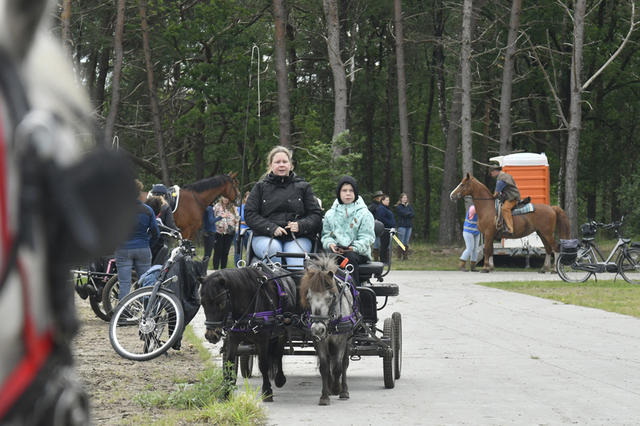  DSC6877 Eper Paardenvierdaagse onderweg