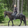  DSC6899 - Eper Paardenvierdaagse onde...