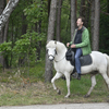  DSC6903 - Eper Paardenvierdaagse onde...