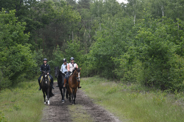  DSC6908 Eper Paardenvierdaagse onderweg