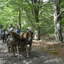  DSC6959 - Eper Paardenvierdaagse onderweg