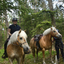  DSC6977 - Eper Paardenvierdaagse onderweg