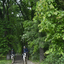  DSC6998 - Eper Paardenvierdaagse onderweg