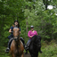  DSC7012 - Eper Paardenvierdaagse onderweg