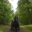  DSC7041 - Eper Paardenvierdaagse onderweg