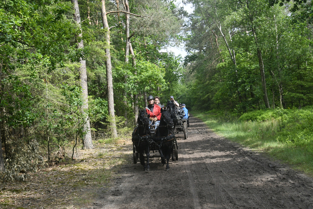  DSC7043 Eper Paardenvierdaagse onderweg