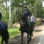  DSC7079 - Eper Paardenvierdaagse onderweg