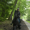  DSC7092 - Eper Paardenvierdaagse onde...