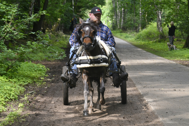  DSC7110 Eper Paardenvierdaagse onderweg