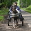  DSC7110 - Eper Paardenvierdaagse onderweg
