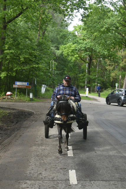  DSC7120 Eper Paardenvierdaagse onderweg