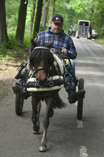  DSC7126 Eper Paardenvierdaagse onderweg