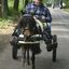  DSC7127 - Eper Paardenvierdaagse onderweg