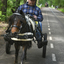  DSC7132 - Eper Paardenvierdaagse onderweg