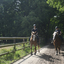  DSC7167 - Eper Paardenvierdaagse onderweg