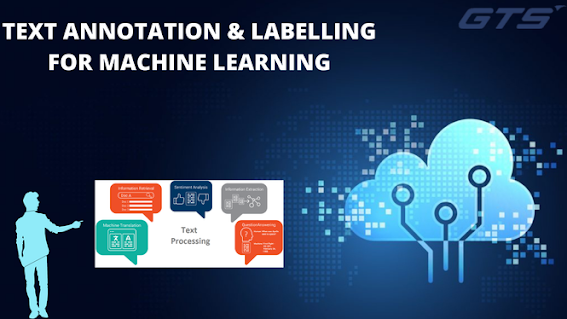 Simplifying Text Data Annotations And Text Labelli Picture Box