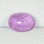 079-SAP-B - 01-03-2022