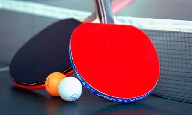 TABEL TENNIS TTSport Table Tennis Online Shop