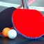 TABEL TENNIS - TTSport Table Tennis Online Shop