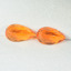 101-FO-B - 01-03-2022