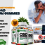 Boulder Highlands CBD Gummi... - Boulder Highlands CBD Gummies