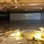 1 - Clewiston Crawl Space Repair