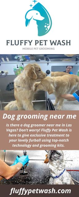 Dog grooming near me Picture Box