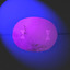 178-SOD-B - 15-05-2021