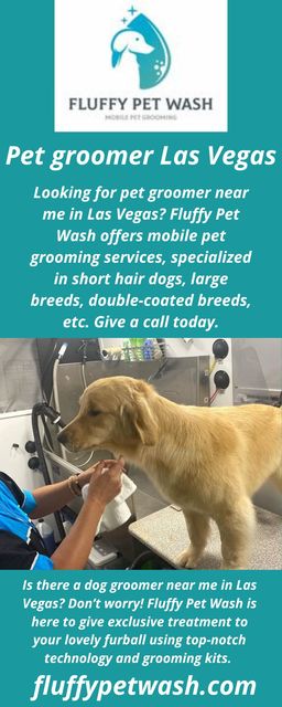 Pet groomer Las Vegas Picture Box