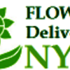 Florist Same Day Delivery