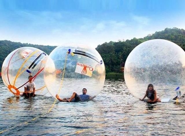 water-zorbing joygoa Picture Box