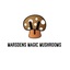 logo - Magic Mushroom Shop