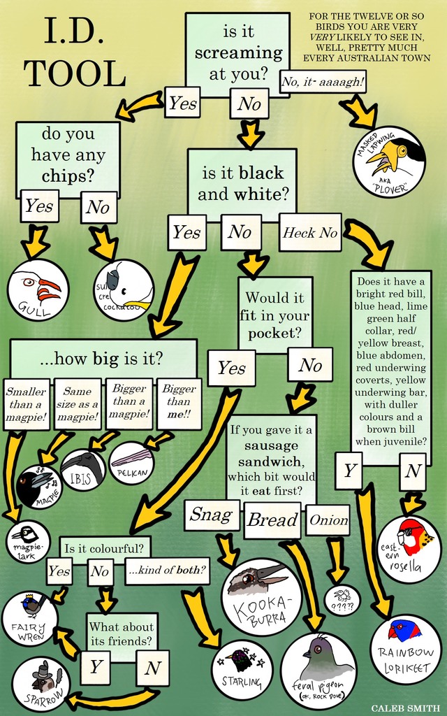 289638776 10162131259529358 7911258584654604745 n - 