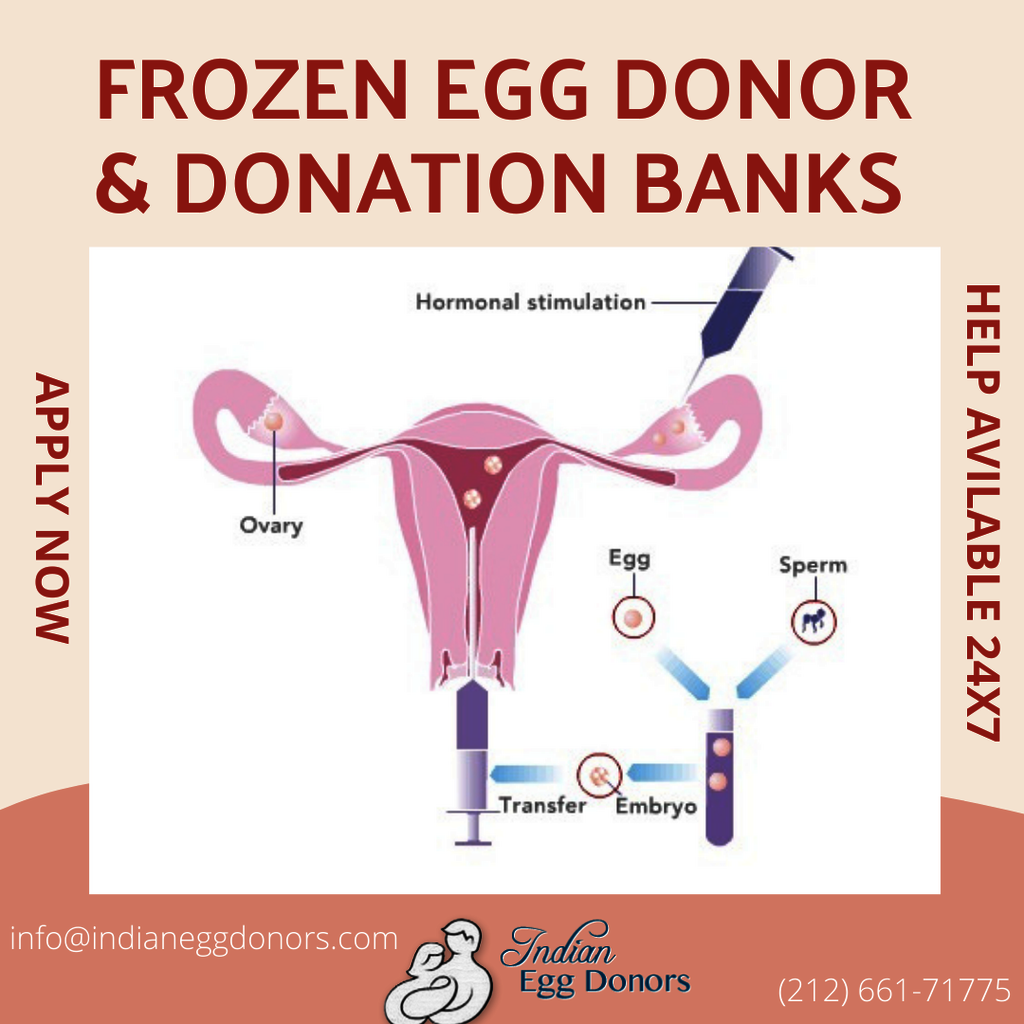 frozen donor eggs Picture Box