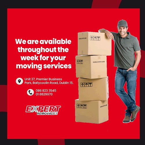 010 Expert Removals