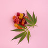 Condor CBD Gummies Reviews ... - Picture Box