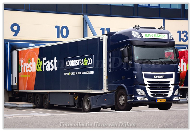 Koornstra 05-BHP-3(0)-BorderMaker - 